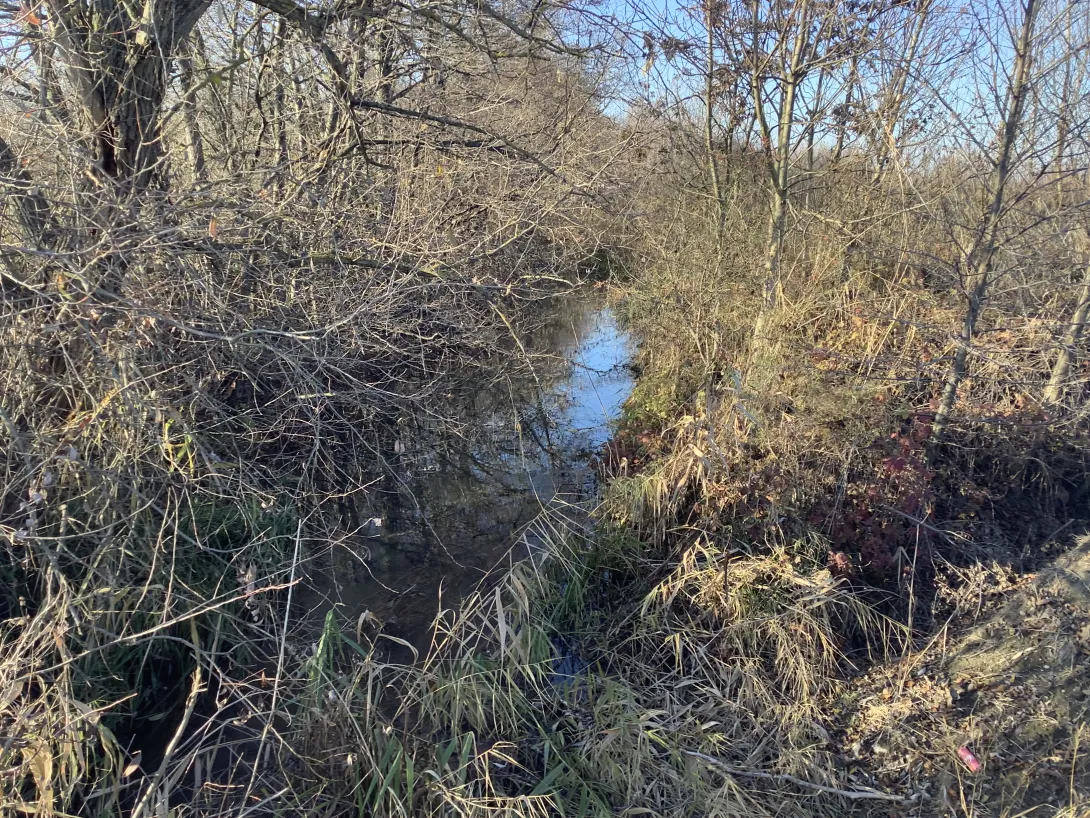 Gaja-patak késő ősszel